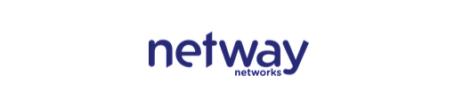 netway networks brand logo netway networks brand logo